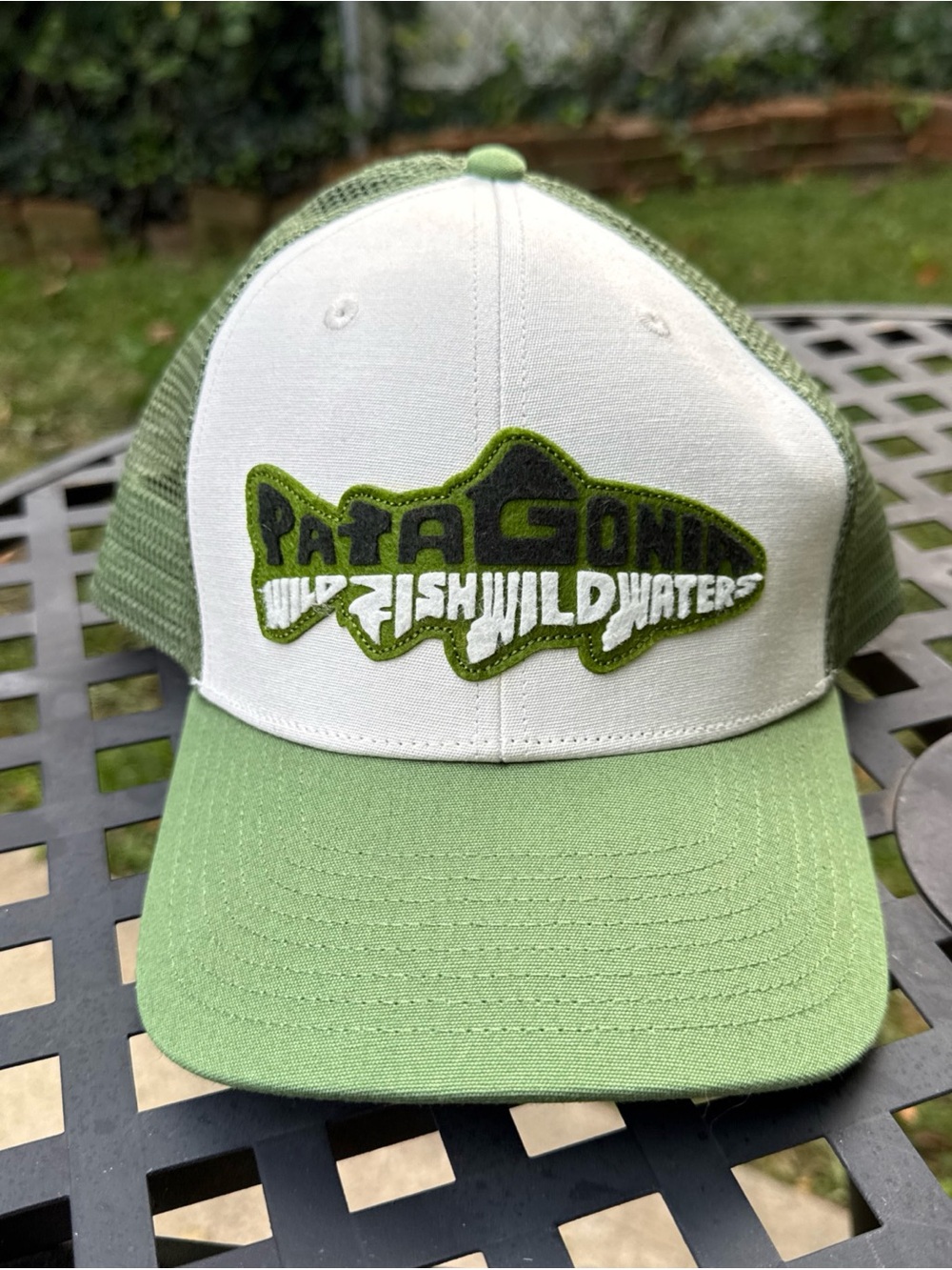 Patagonia Men’s Take a Stand Trucker Hat Wild Waterline Green